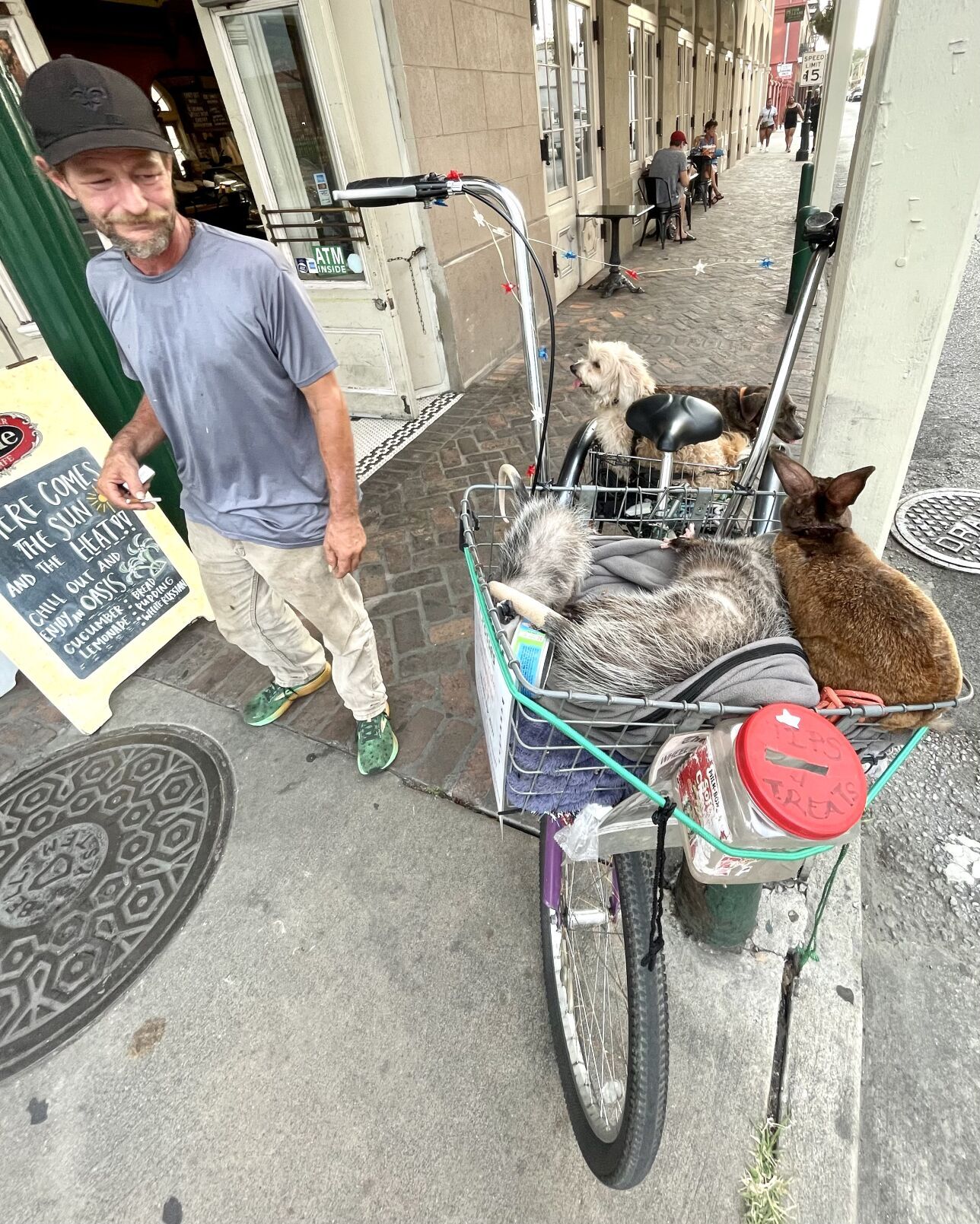 NO.opossum.022224